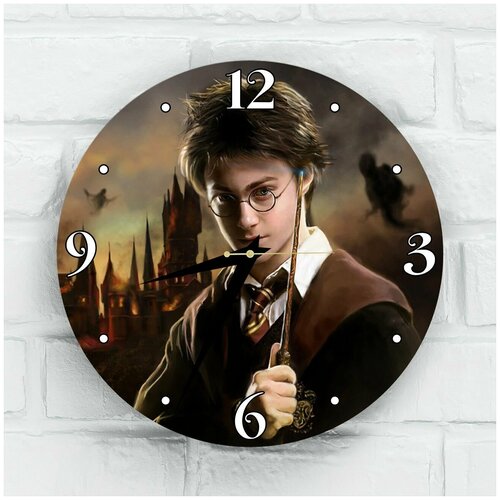     Harry Potter 30,  1300