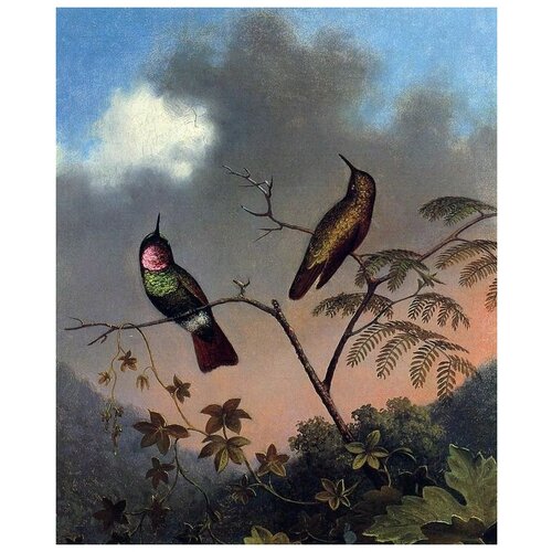      (Brazilian hummingbirds)    50. x 61.,  2300