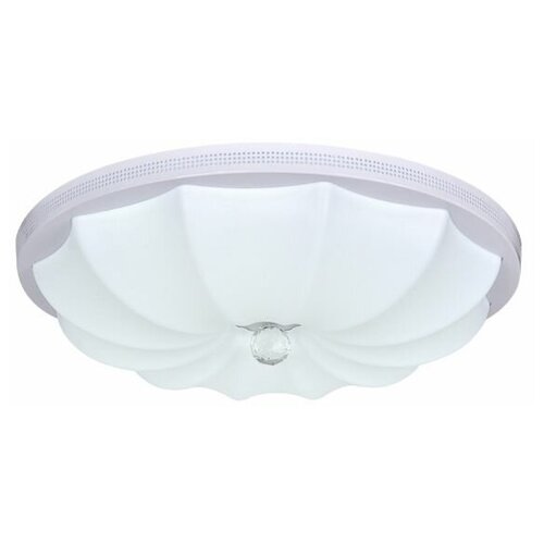     Escada 10231/S LED,  5100 ESCADA