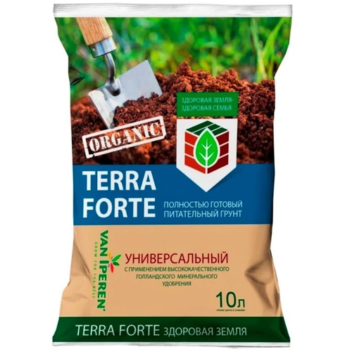    Terra Forte 10,  239