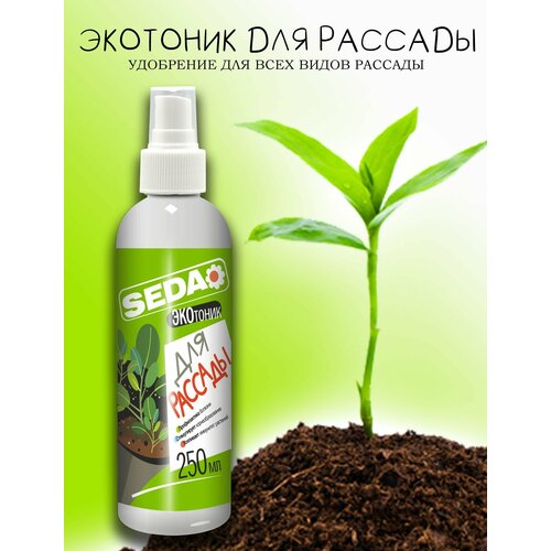 SEDA  / () 250., , .  ,  157