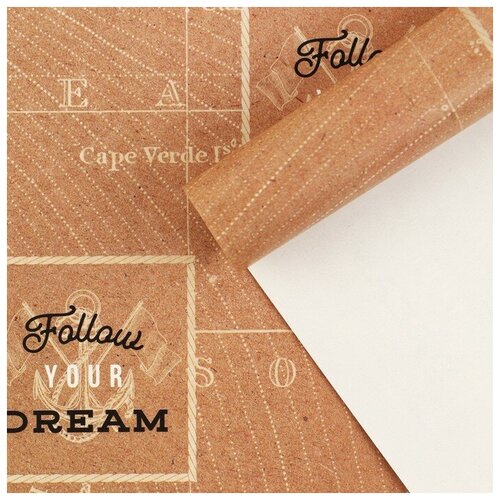 ������ ����������� ��������� �Follow your dream�, 60 ? 90 ��, ���� 316�