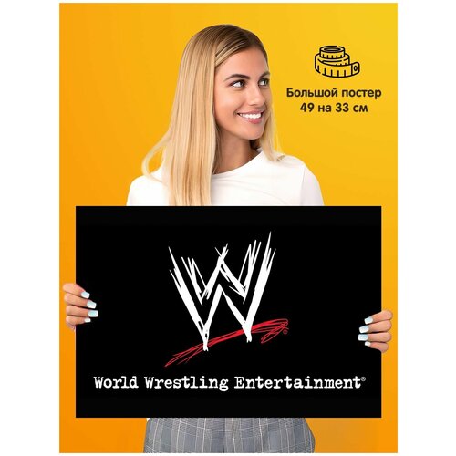   World Wrestling Entertainment WWE,  339