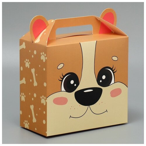 ������� �������� ������, 23 � 20 � 10 ��, ���� 246�