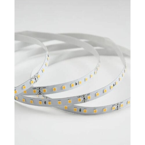  24   5  SMD 2835, 120 LED/, 10 /, 24, IP20, 4000-4500, 1043, 8, RA-80,  1300