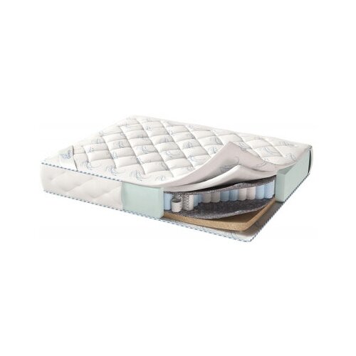������ Corretto Tourine 170�186, ���� 17318�