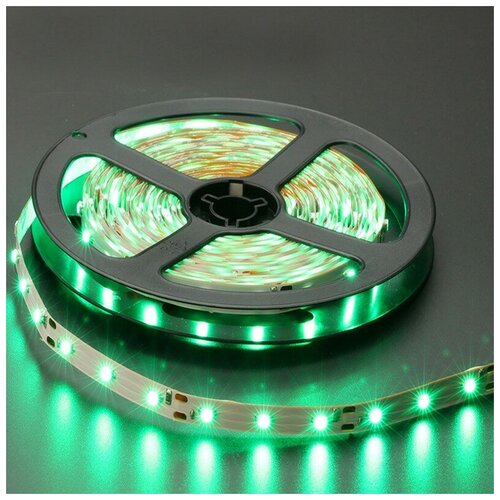   SMD 3528-60LED-IP33 12  5. -  :,  1800