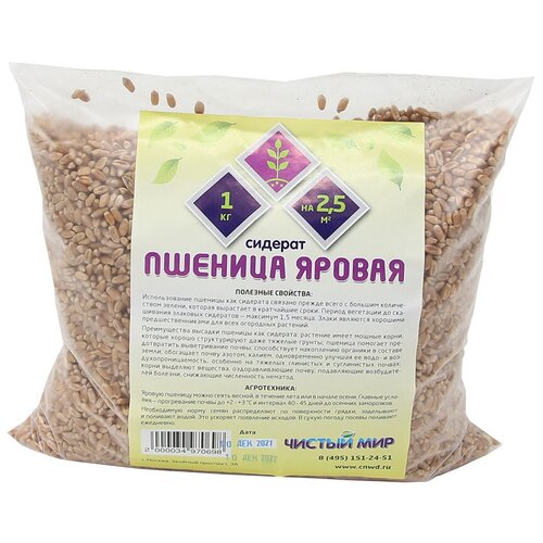 Сидерат Пшеница яровая, 1 кг., цена 199р