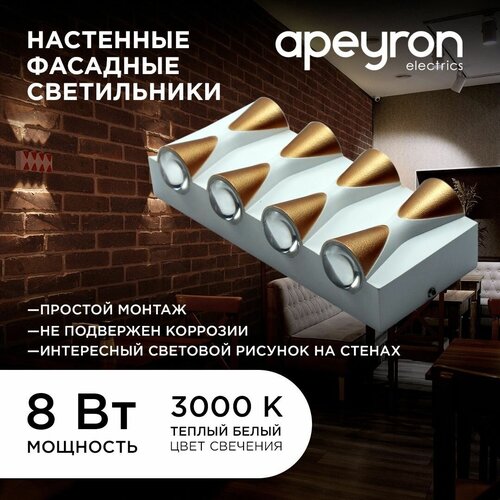      Apeyron 31-02,  2566 Apeyron Electrics