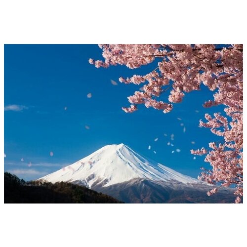        (Cherry blossoms in the mountains) 45. x 30.,  1340
