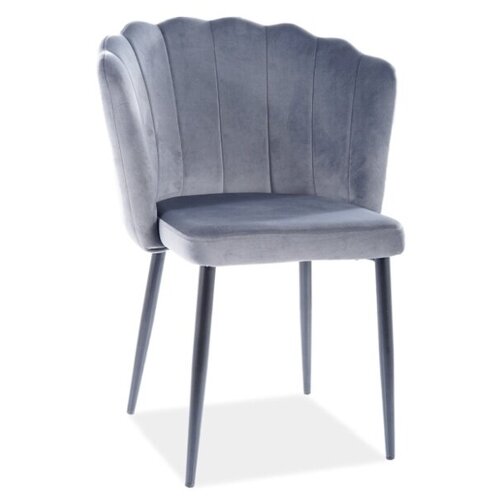 ���� SIGNAL ROKSANA VELVET, ����� ������ / ����� BL14, ���� 11370�