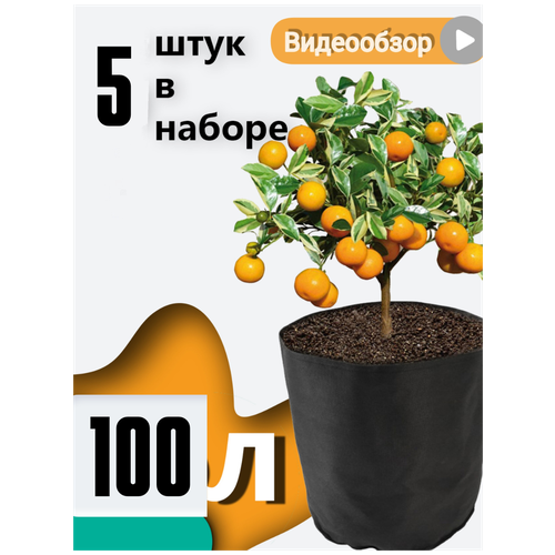     Bag Pot Eco 100 ,  5 ,    grow bag  , , ,  3300