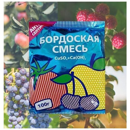 �������� ������ �������� �� ��������� ����������� ��������� ����� ��� ������������� ��������� �������� ��� ������� ��������� ���� , 100�, ���� 285�
