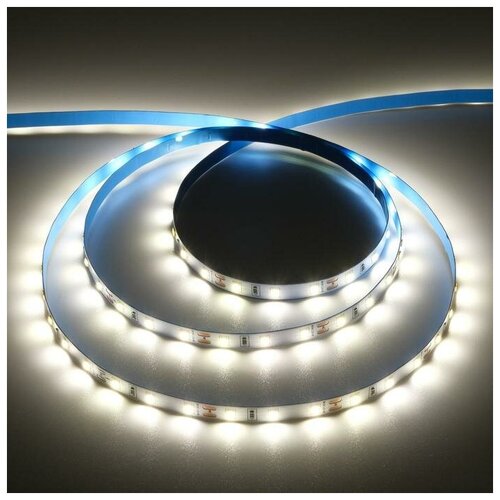   Ecola PRO 5 , IP20, SMD5060, 60 LED/, 11 /, 12 , 4200,  578