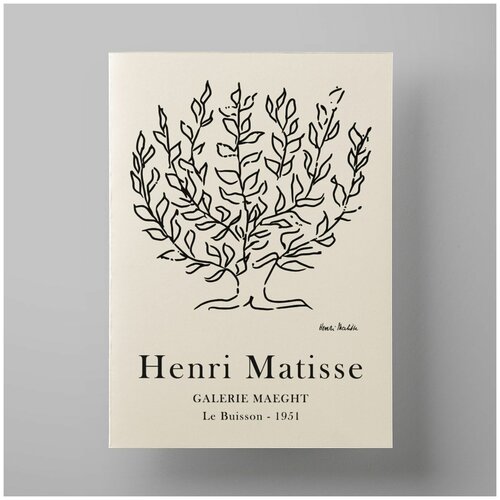     , Matisse, 3040 ,     ,  560