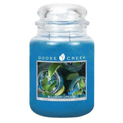   GOOSE CREEK Blueberry Limeade 150 ES26473-vol,  3200