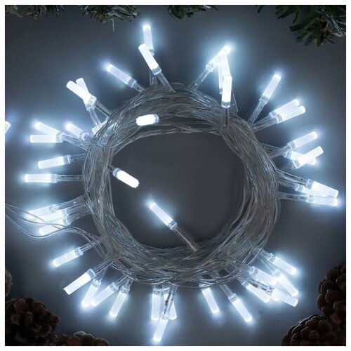   5    , IP20,  , 50 LED,  , 8 , 220 ,  584