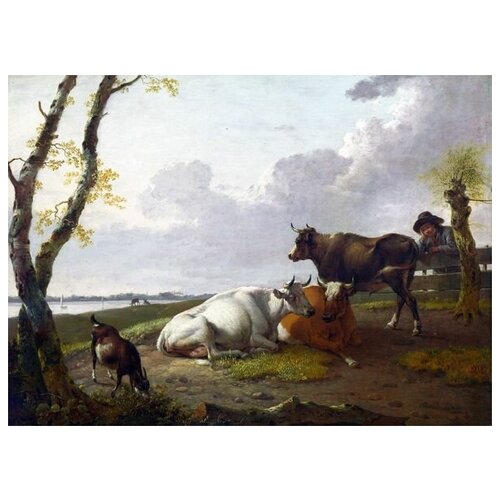     (Cattle)    69. x 50.,  2530