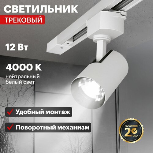    REXANT Star Track 12  4000  LED   611-001,  713