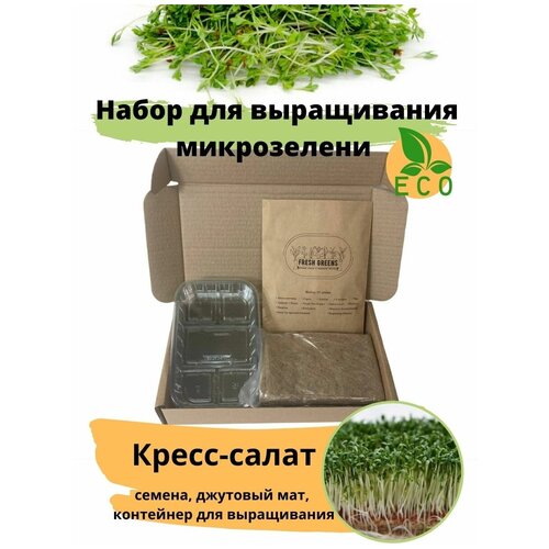      - Fresh Greens ( -,  ,   ),  288 Fresh greens