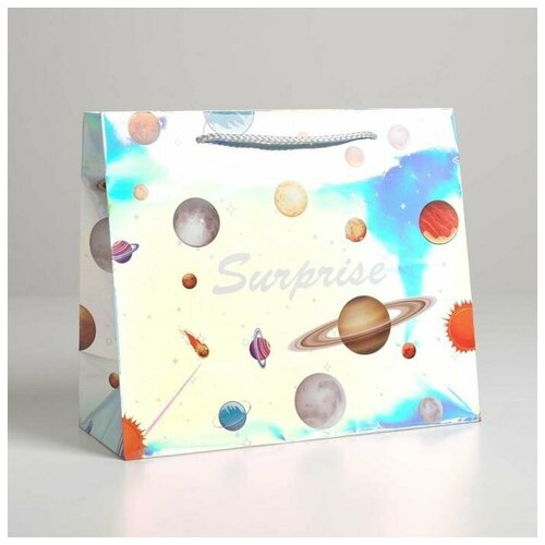 ����� ���������� ������ ������� Surprise, ���������������, 27 x 23 x 11,5 ��, ���� 89�