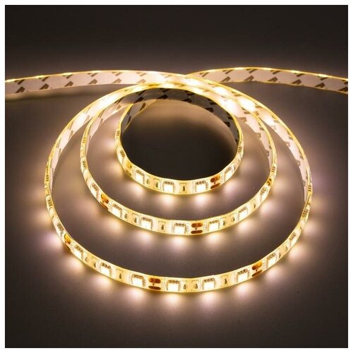    URM, 12, SMD5050, 3 , IP65,  ., 60 LED/, 3000,  1901