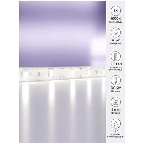 Maytoni   Led strip 12V 4,8W 6000K IP 65 10107 .,  1985