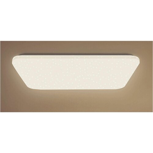    Xiaomi Yeelight A2001R900 Ceiling Light (YLXD033),  14130