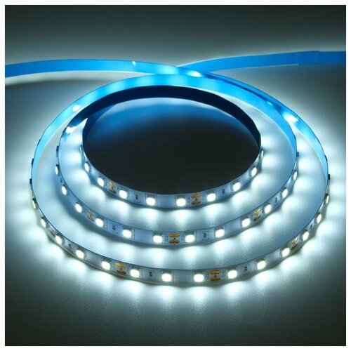   Ecola PRO 5 , IP20, SMD5050, 60 LED/, 14.4 /, 12 , 4200,  637