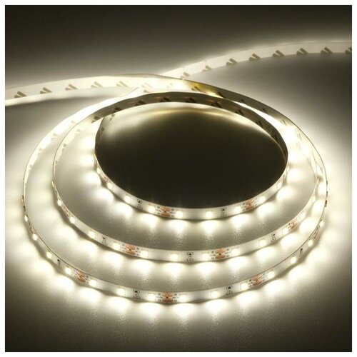   Ecola PRO 5 , IP20, SMD2835, 60 LED/, 8 /, 12 , 4200,  531