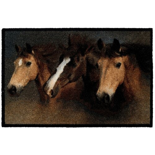 EMPIRE carpets international   DECO-UP    50x75   (23704_horses ),  807