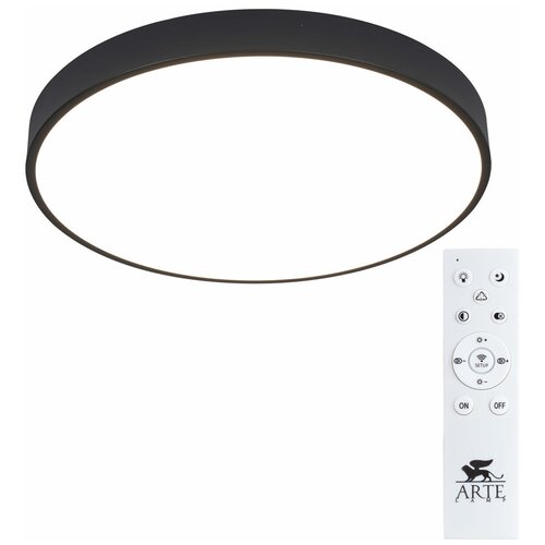 Arte Lamp   Arte Lamp Arena A2672PL-1BK,  9490