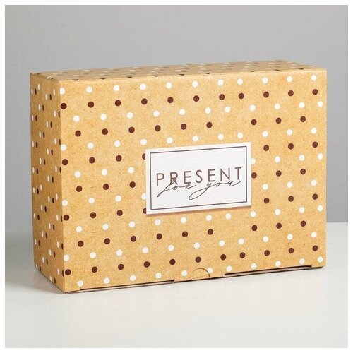 ������� ������� Present, 26 ? 19 ? 10 ��, ���� 197�