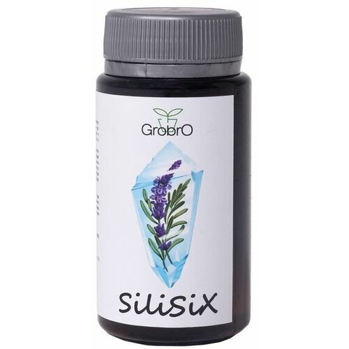    SiliSiX, 50 ,  850