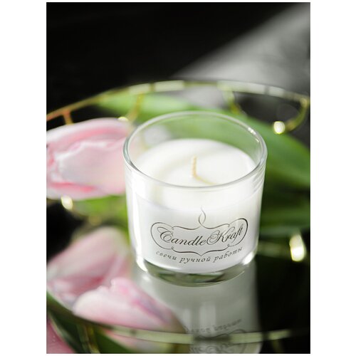       CandleKraft Citronella Aroma Mini   ,  389