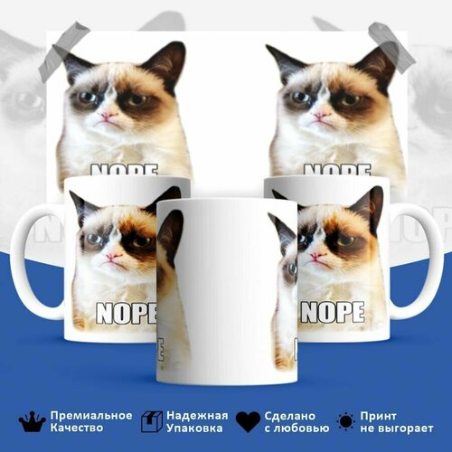 , Grumpy cat,  , , , 330,  449