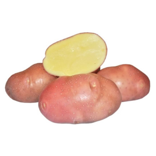 Семенной картофель беллароза (суперэлита), цена 899р