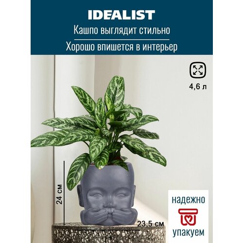    - IDEALIST Lite, , 24,5 23,5 24 , 4,9 .,  2900