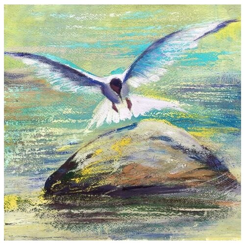      (Seagull on a rock) 50. x 50.,  1980