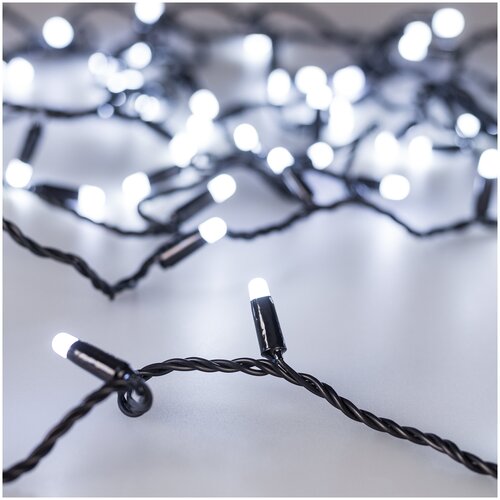   Arlight ARD-String-Classic-10000-Black-100LED-Milk-Std White 031206,  3164