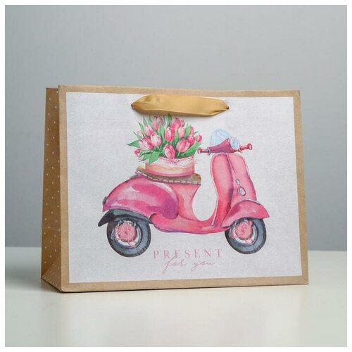 ������ ������� ����� ��������� �������������� �Present for you�, MS 23 � 18 � 10 ��, ���� 463�