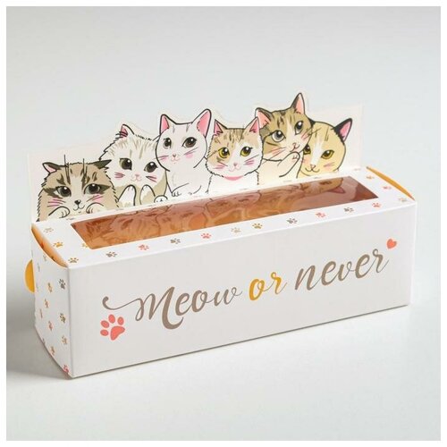 ��������� ��� ������� �Meow or never�, 18 � 5,5 � 5,5 ��, ���� 524�