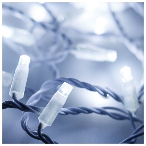   ARD-STRING-CLASSIC-10000-WHITE-100LED-FLASH WHITE (230V, 7W) (Ardecoled, IP65),  3070