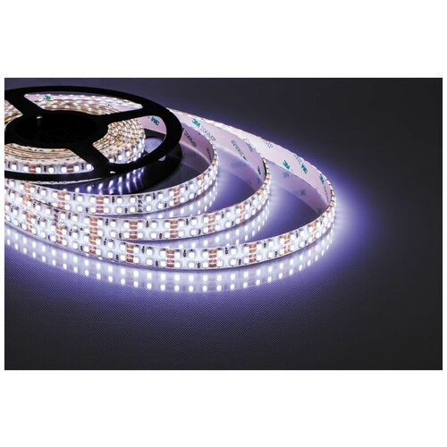  , 240SMD(2835)/m 19.2W/m 12V 5m 6500, LS615,  2571