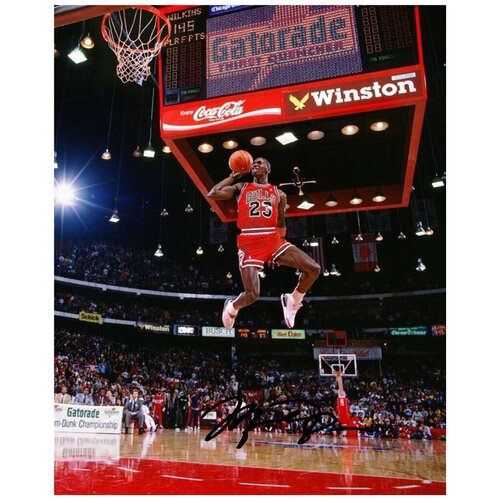       -  Michael Jordan Nba Bulls -   ,  ,  , , ,  2025 ,  849