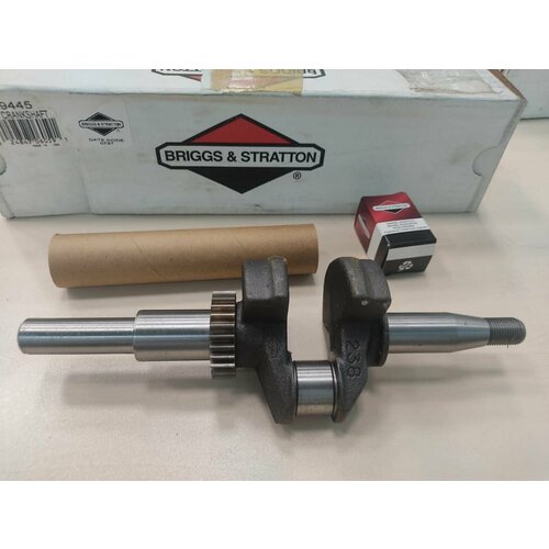   ( 699454) BRIGGS&STRATTON,  14200