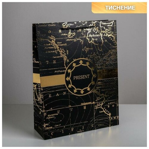 ����� �������������� ������������ Gold present, L 31 ? 40 ? 11,5 ��, ���� 375�