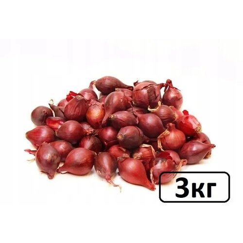 Семена лук-севок Ред Барон 3 кг, цена 610р