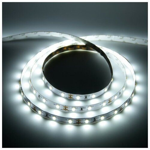    General 5 , IP20, SMD2835, 60 LED/, 12 , 6500,  1456