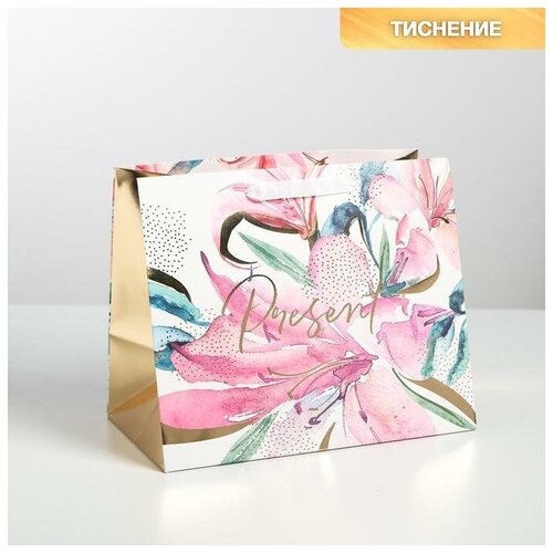 ����� �������������� Present, 30,5x25,5x18 ��, ���� 488�